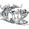 Elk Bugling