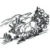 Elk Walking
