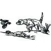 Gun Dog And Quail