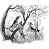 Coon Dogs